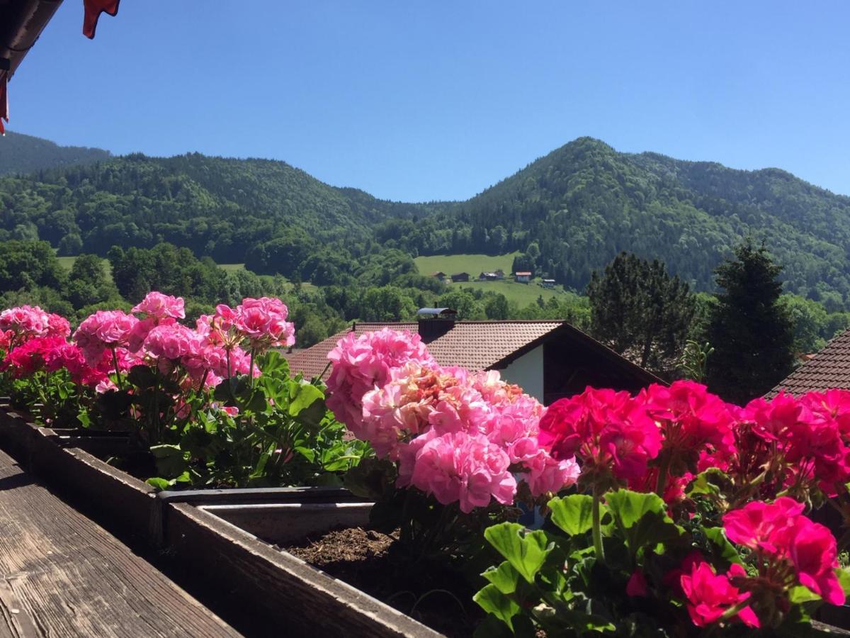 Ferienwohnungen Gaestehaus Sonnenkreis Ruhpolding Exterior foto