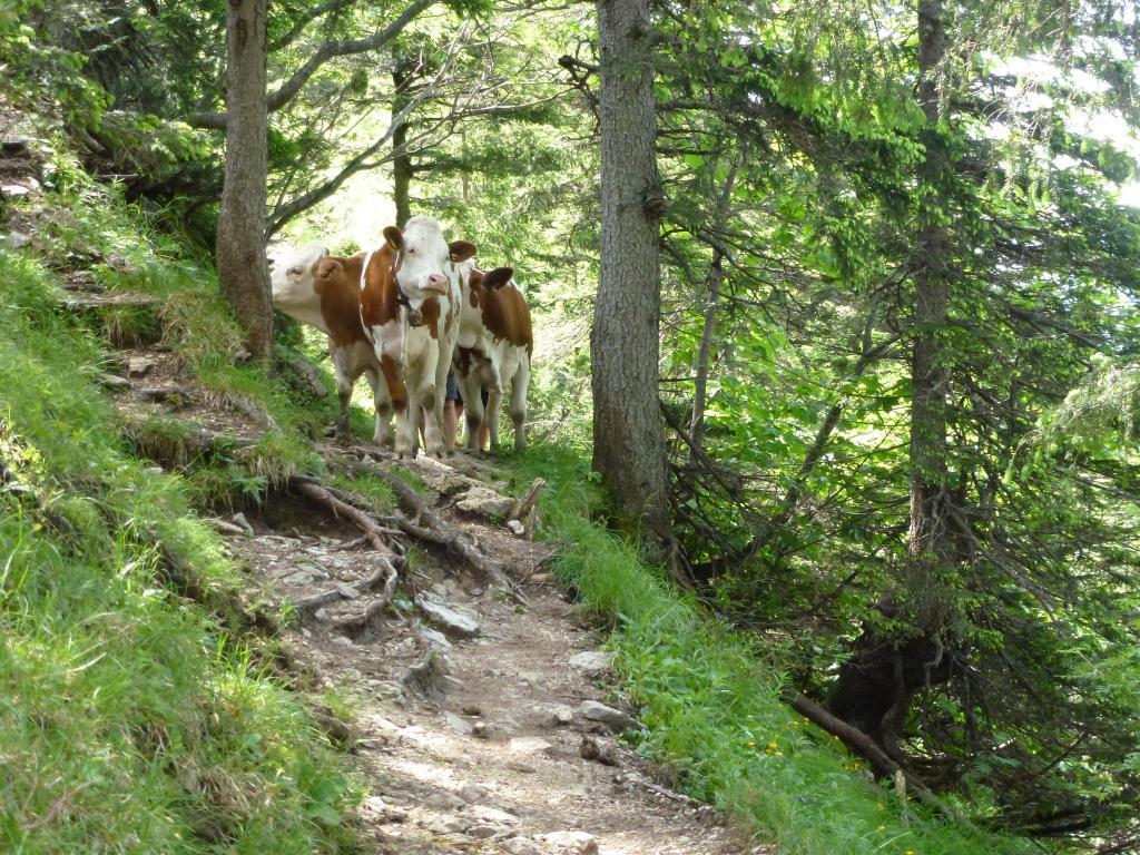 Ferienwohnungen Gaestehaus Sonnenkreis Ruhpolding Exterior foto